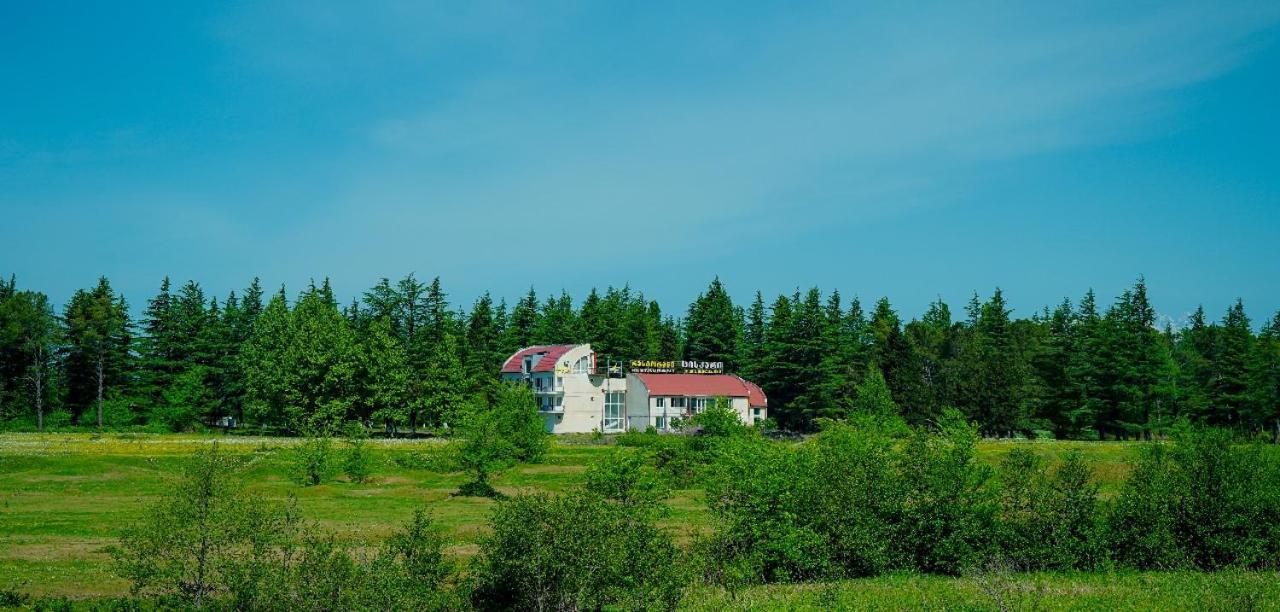 Hotel Tsiskari Ianet'i Exterior photo